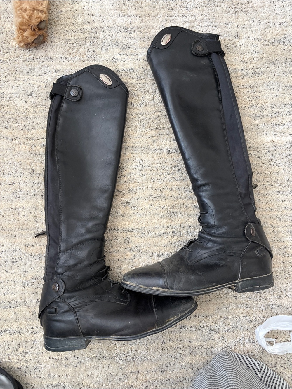Parlanti Miami S+ sz8